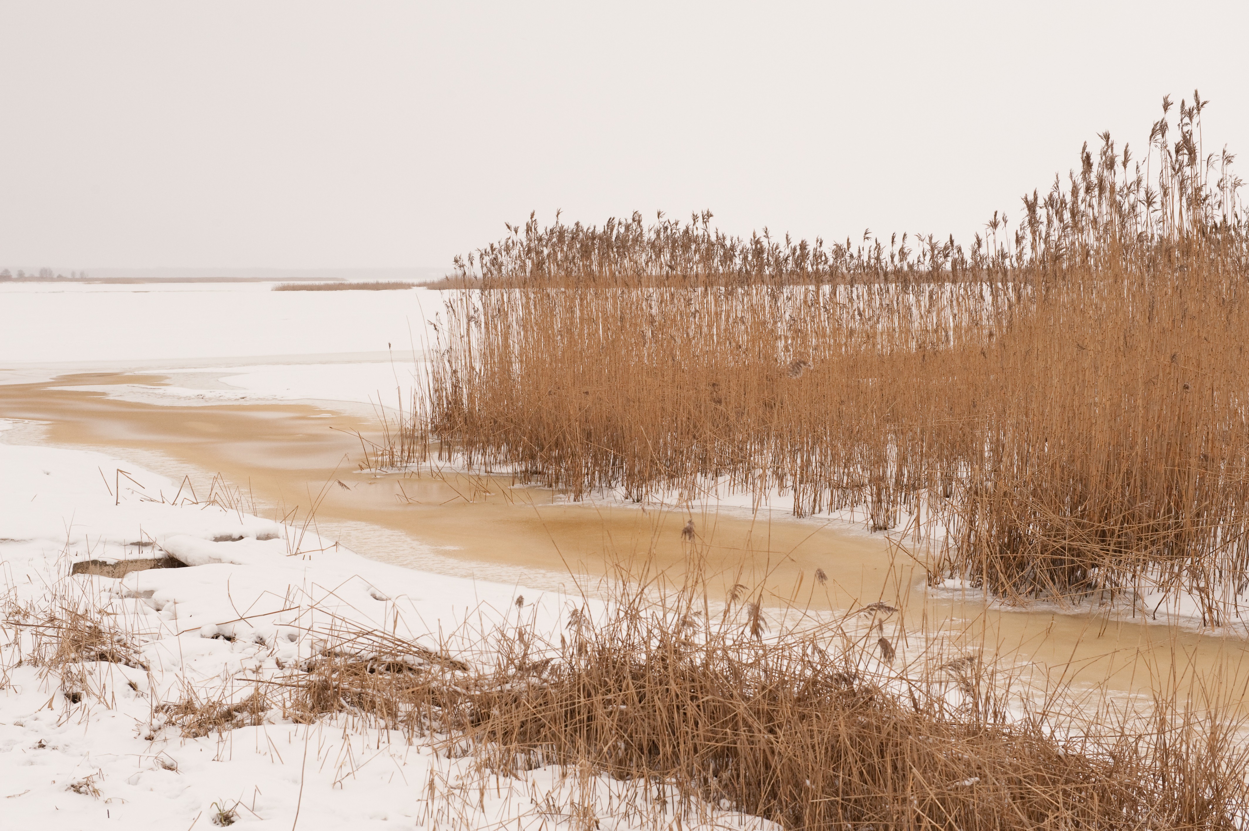 Kuva Samuli Haapasalo